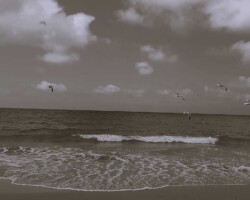 Libertad