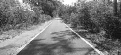 Entre sombras y claridad