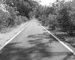 Entre sombras y claridad