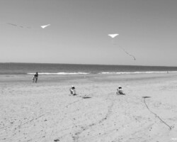 Cometas en el cielo