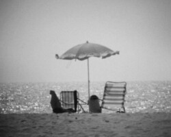 Frente al mar