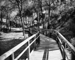Caminar